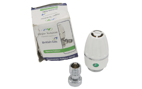 British Gas BG Pegler Yorkshire 15mm Angle TRV 631900